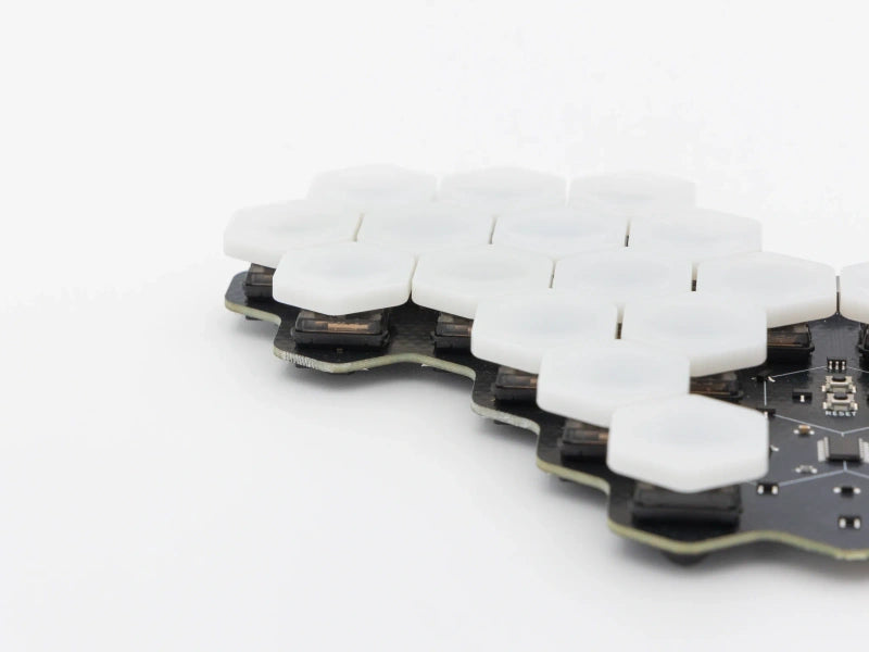 (Group Buy) Hexapoda Keyboard Kit