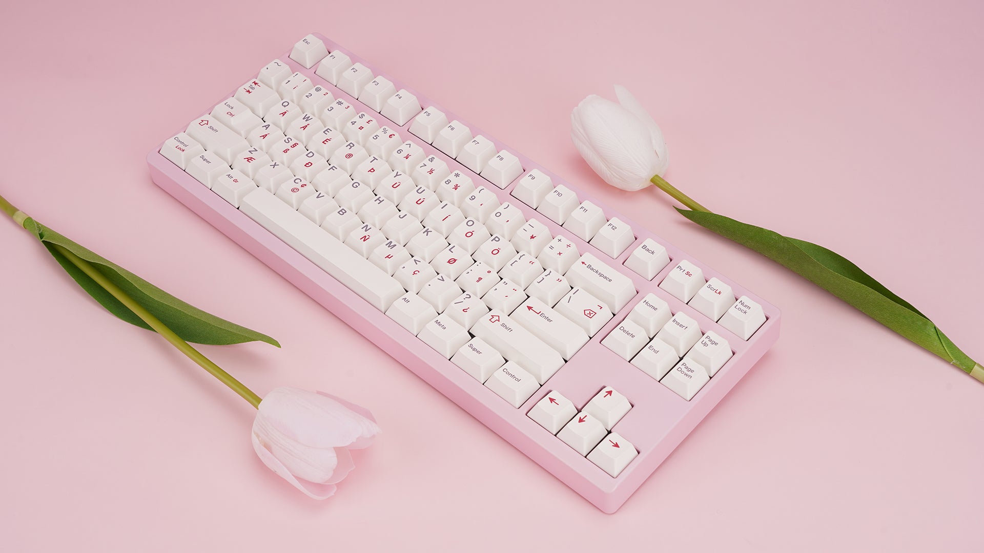 (Group Buy) ZOOM TKL ESSENTIAL EDITION - Blush Pink