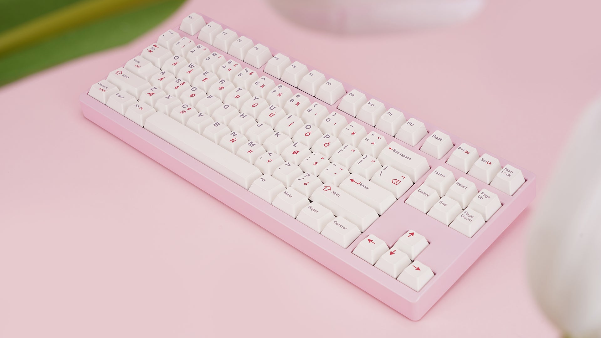 (Group Buy) ZOOM TKL ESSENTIAL EDITION - Blush Pink