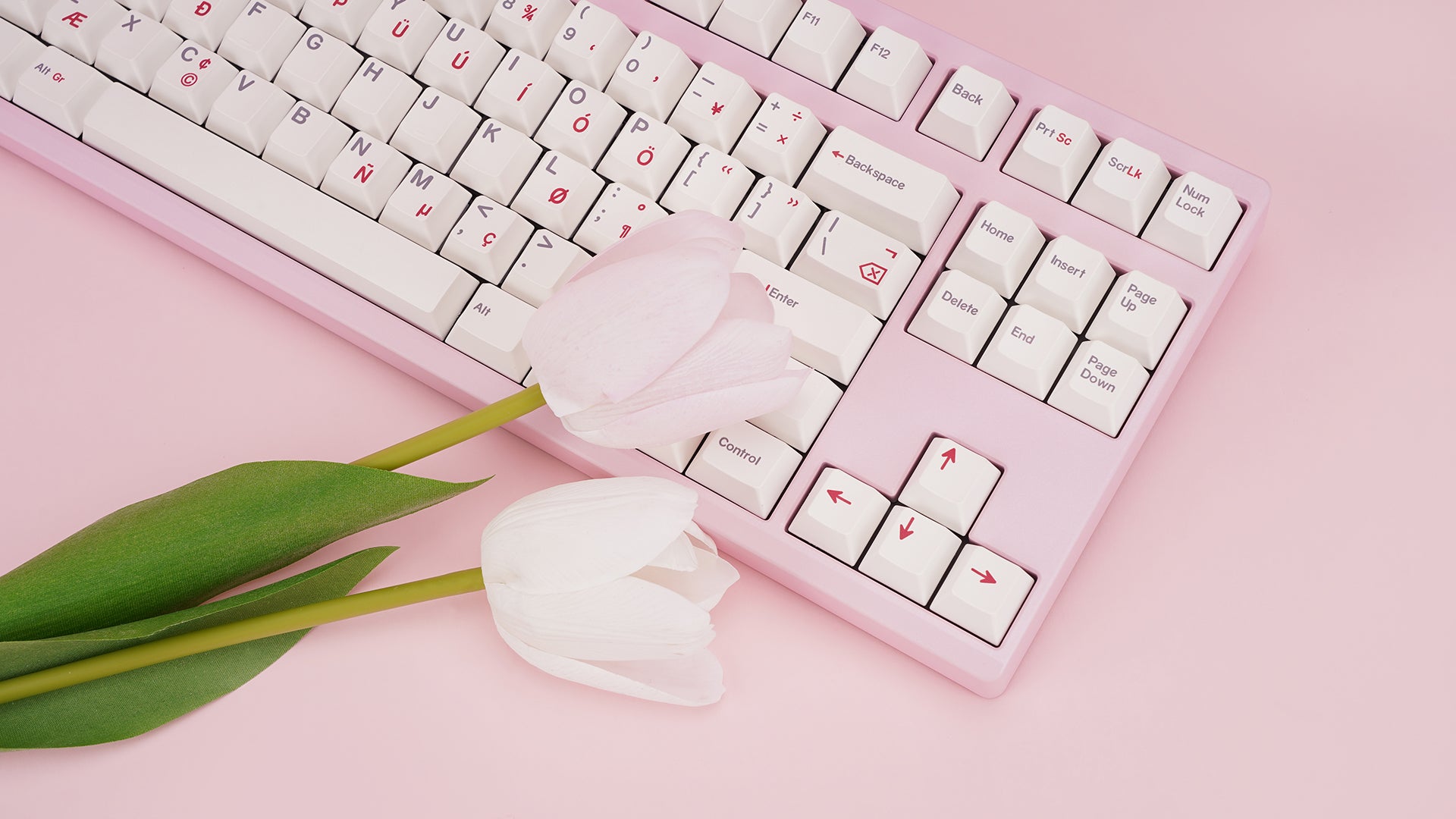 (Group Buy) ZOOM TKL ESSENTIAL EDITION - Blush Pink