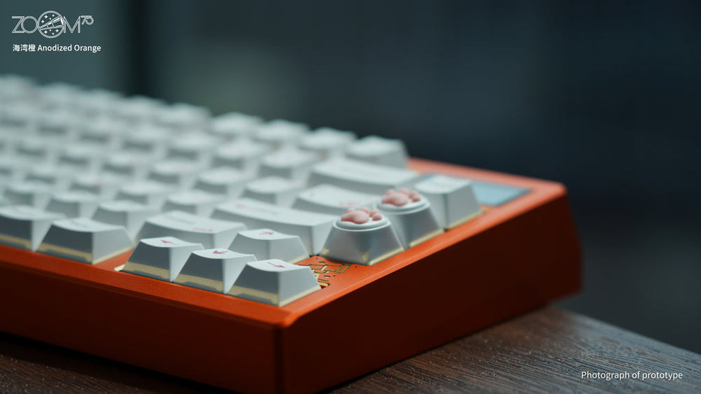 
                  
                    (Group Buy) Zoom75 Special Edition - Anodised Orange
                  
                