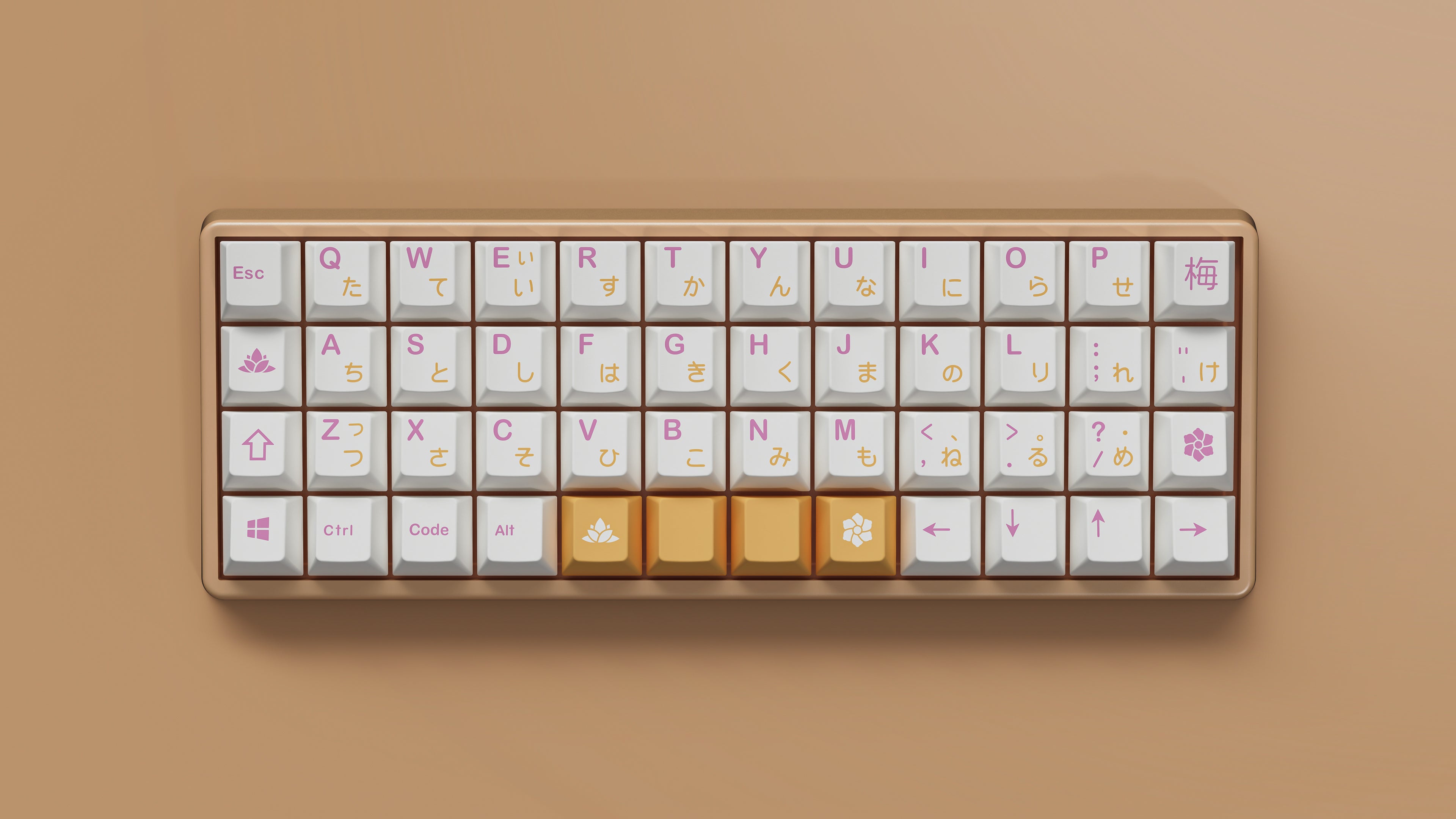 (Group Buy) JTK Hanami