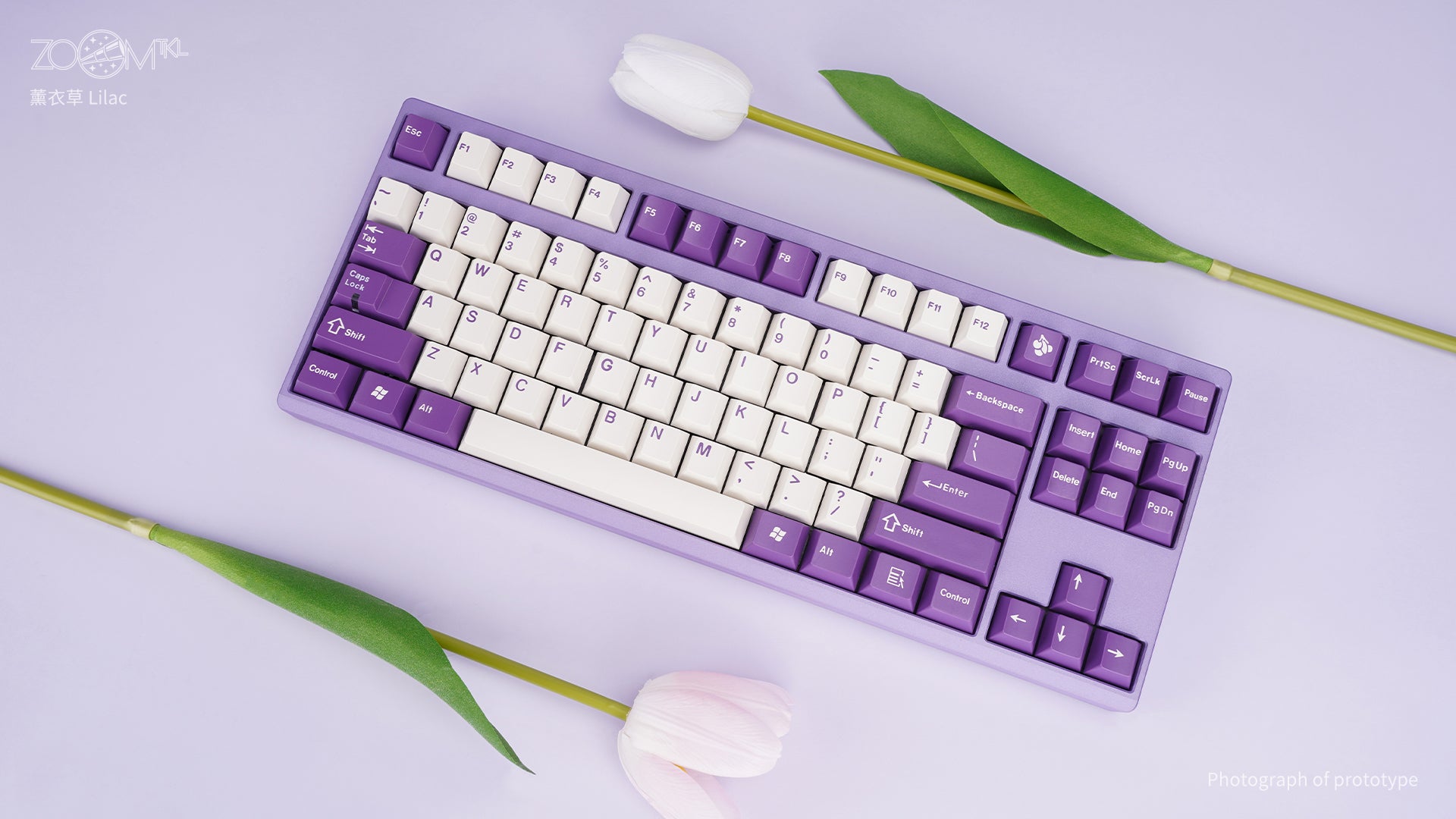 (Group Buy) ZOOM TKL ESSENTIAL EDITION - Lilac