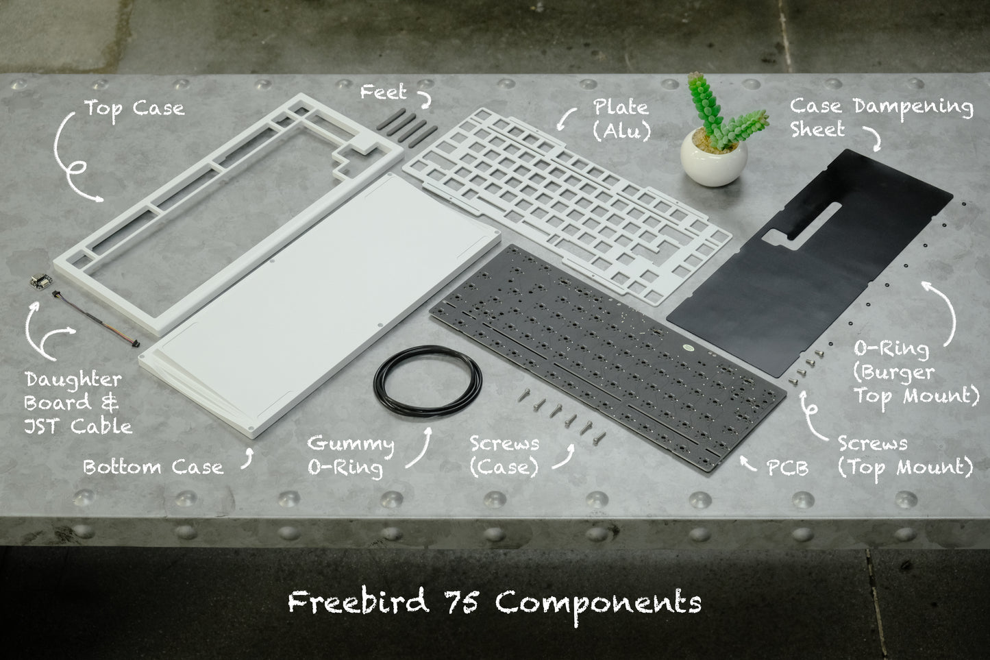 
                  
                    (Group Buy) Freebird75 Add-ons
                  
                
