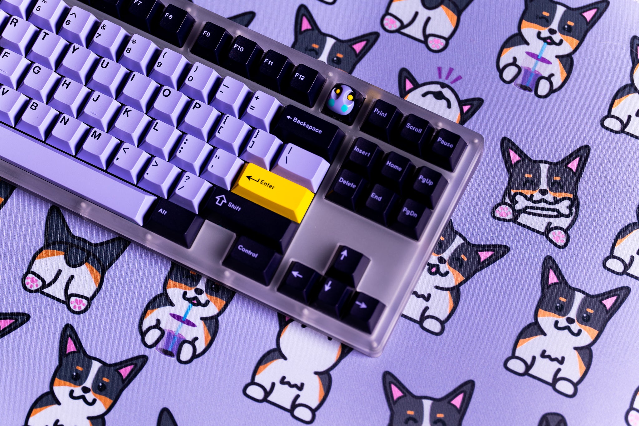 (Group Buy) Corgi Deskmats