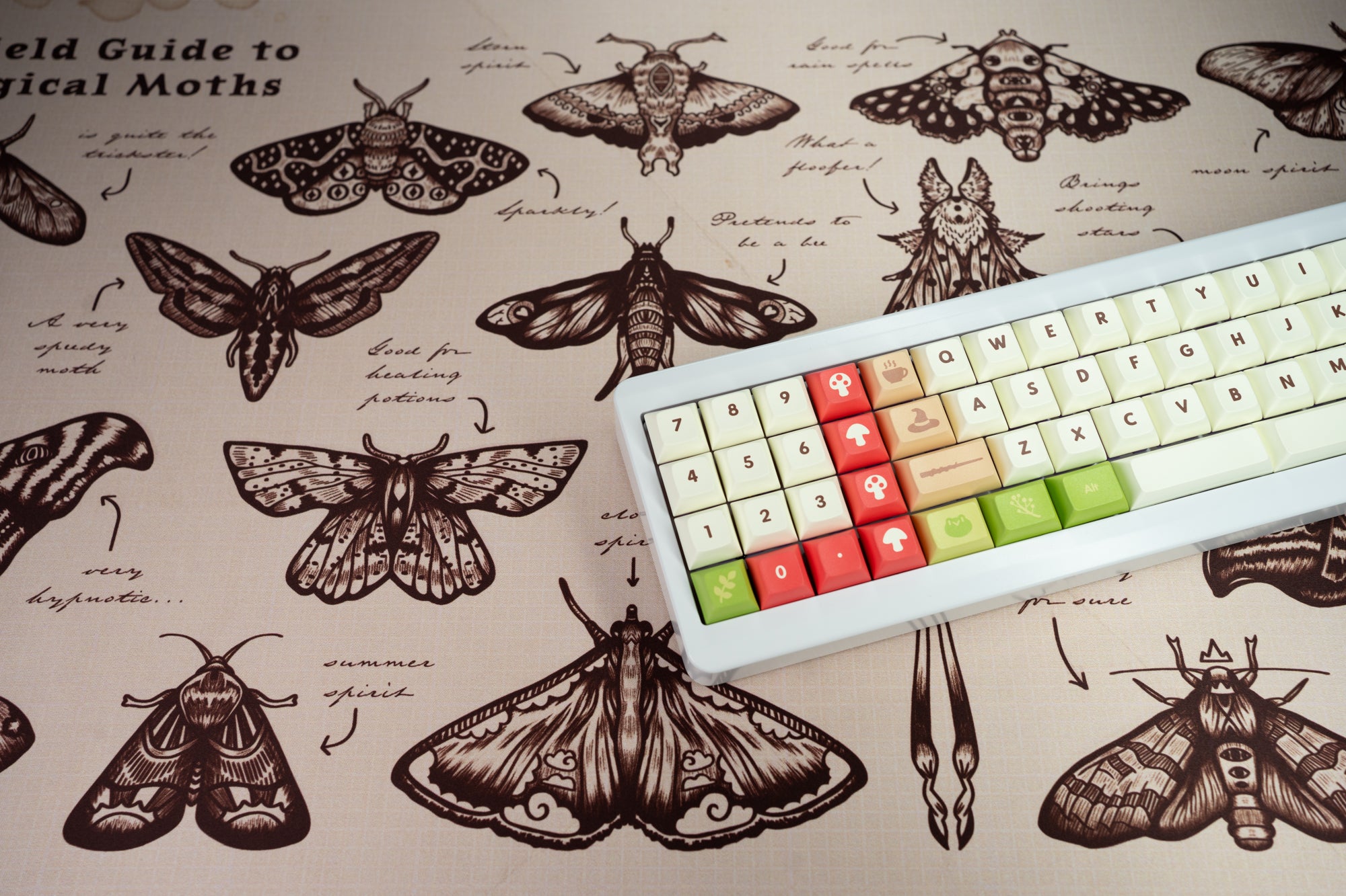 (Group Buy) Infinikey DSA Nature Witch