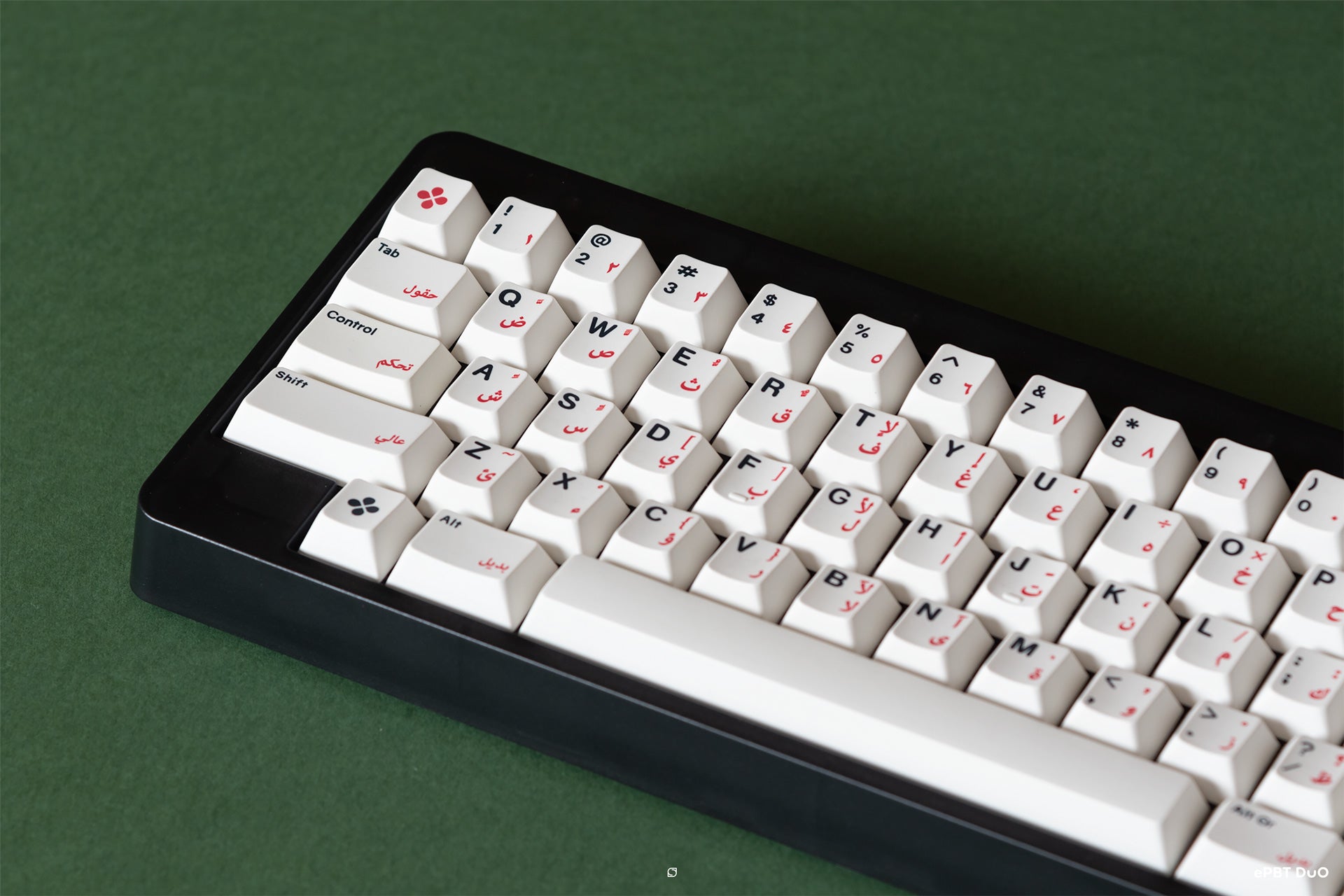 (Group Buy) ePBT DuO