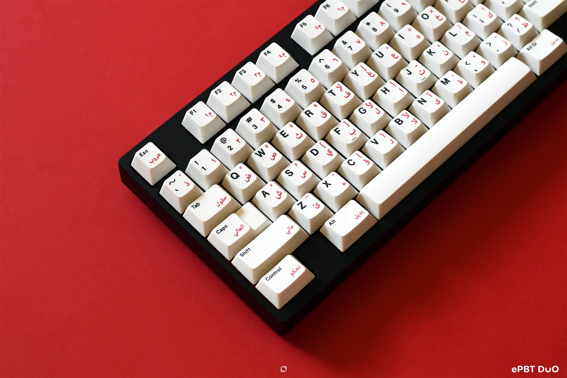 (Group Buy) ePBT DuO