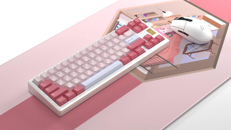 (Group Buy) EPBT Rin