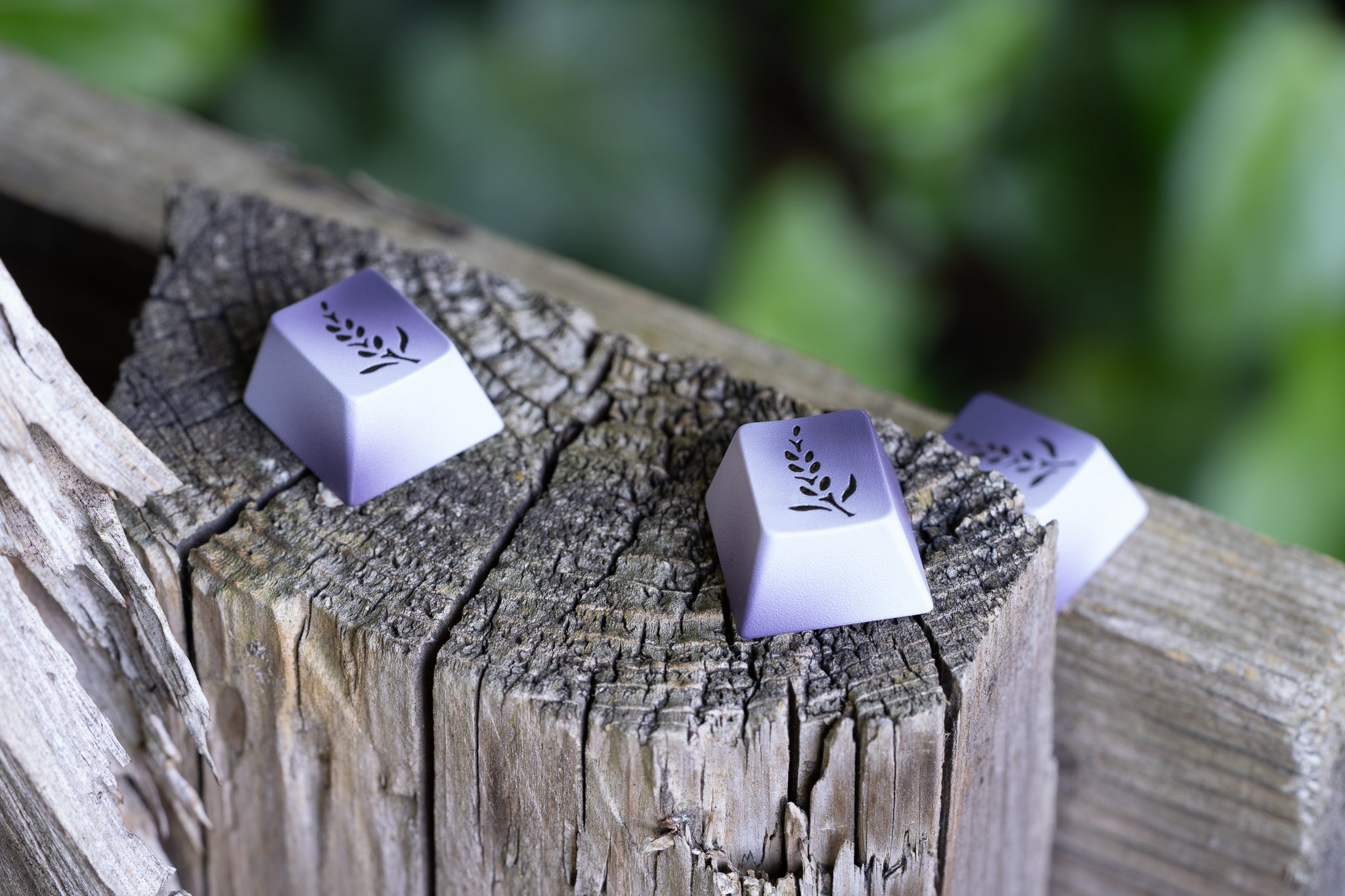 (In Stock) GMK Lavender Keycaps