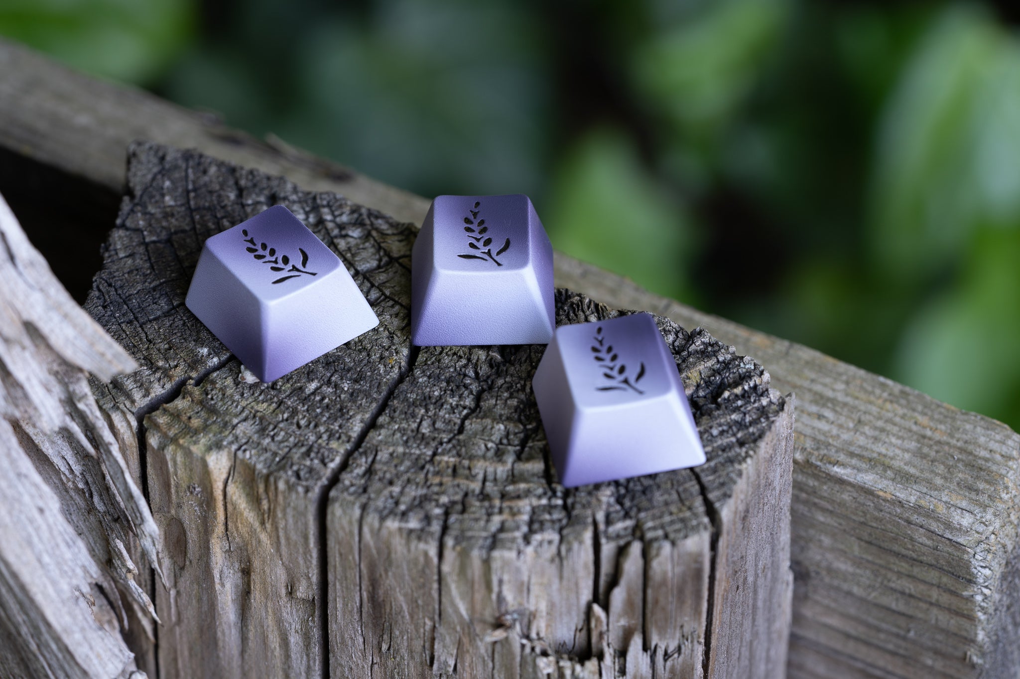 (Group Buy) GMK Lavender