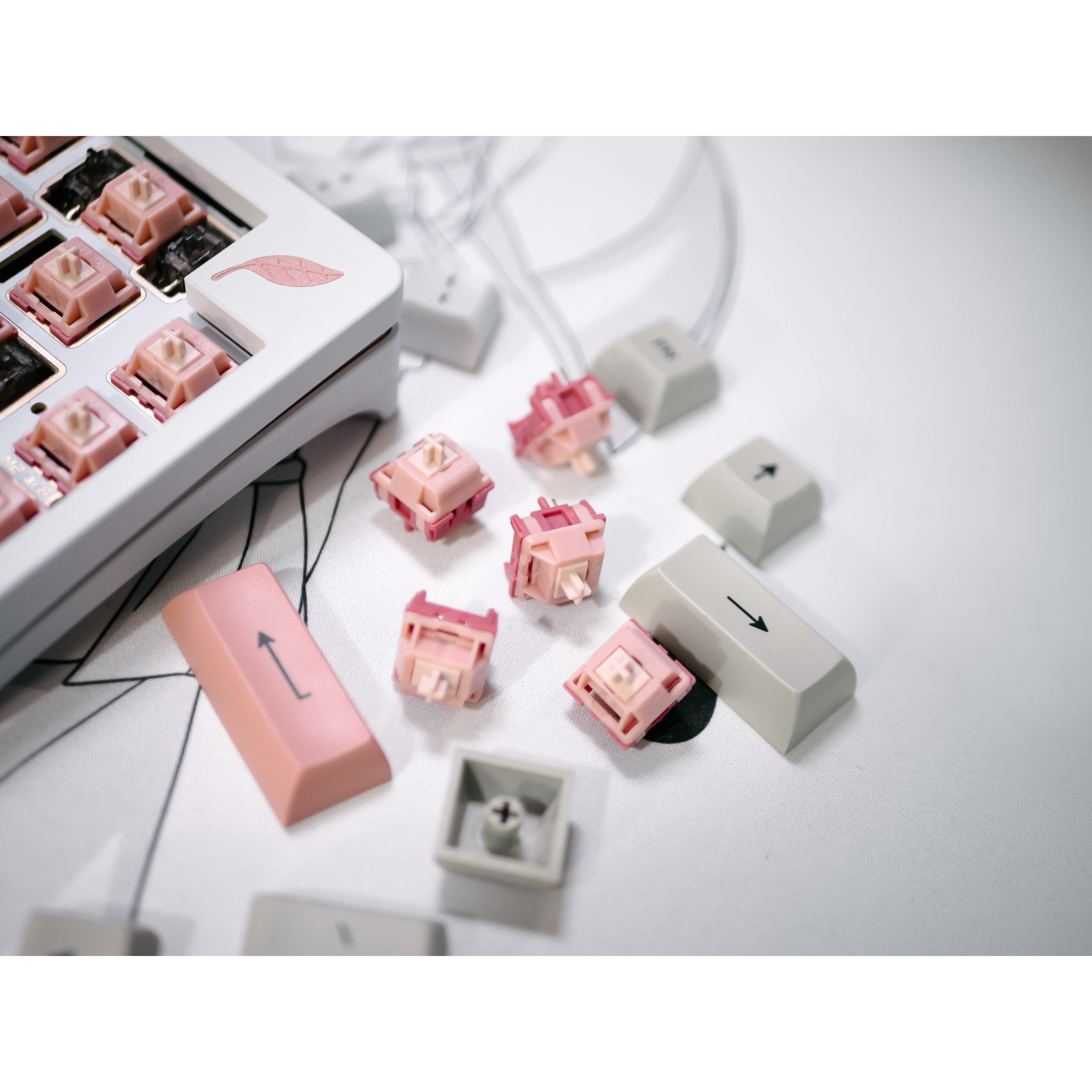 (Group Buy) Blush Linear Switches